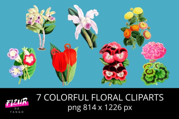 Explore 7 Colorful Floral Cliparts for Projects