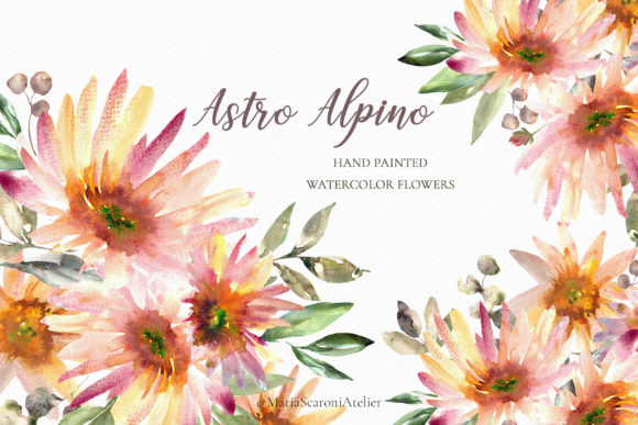 Watercolor Floral Clipart - Astro Alpino: A Versatile and Elegant Design Solution